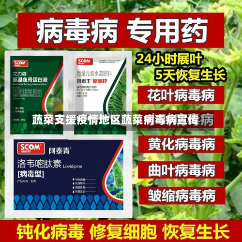 蔬菜支援疫情地区蔬菜病毒病宣传