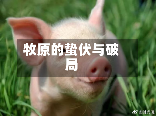 牧原的蛰伏与破局