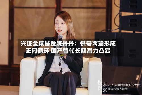 兴证全球基金姚丹丹:供需两端形成正向循环 国产替代长期潜力凸显