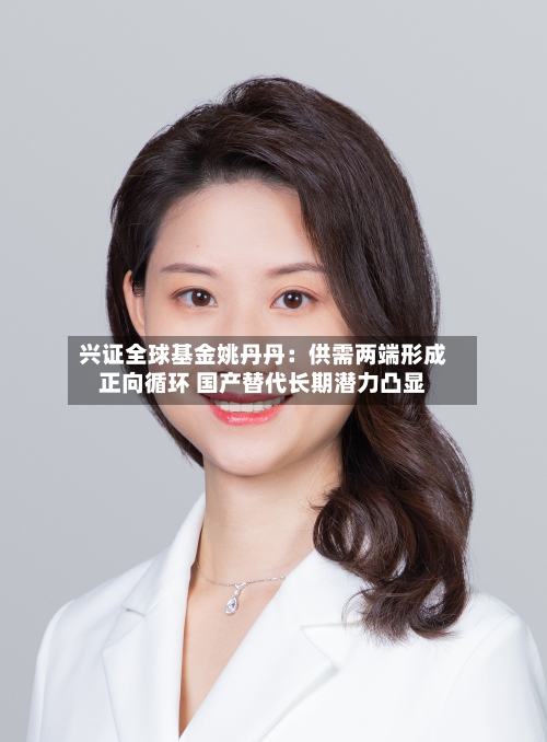 兴证全球基金姚丹丹:供需两端形成正向循环 国产替代长期潜力凸显