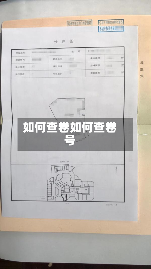 如何查卷如何查卷号